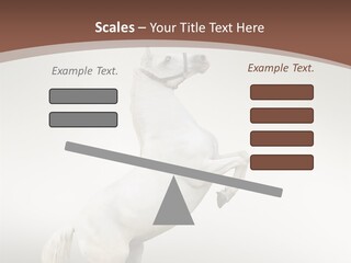 Celebrating Syndrome Holiday PowerPoint Template