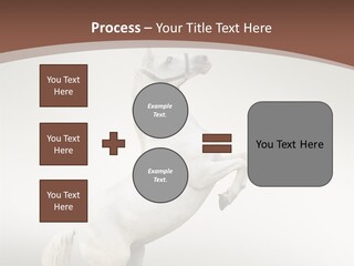 Celebrating Syndrome Holiday PowerPoint Template