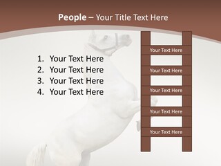 Celebrating Syndrome Holiday PowerPoint Template