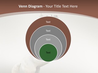 Celebrating Syndrome Holiday PowerPoint Template