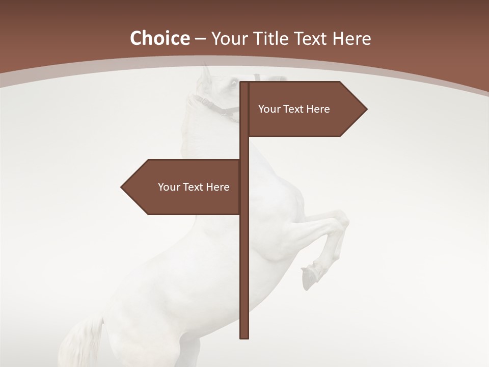 Celebrating Syndrome Holiday PowerPoint Template