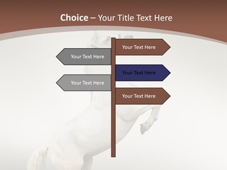 Celebrating Syndrome Holiday PowerPoint Template