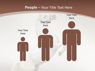 Celebrating Syndrome Holiday PowerPoint Template