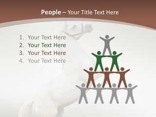 Celebrating Syndrome Holiday PowerPoint Template