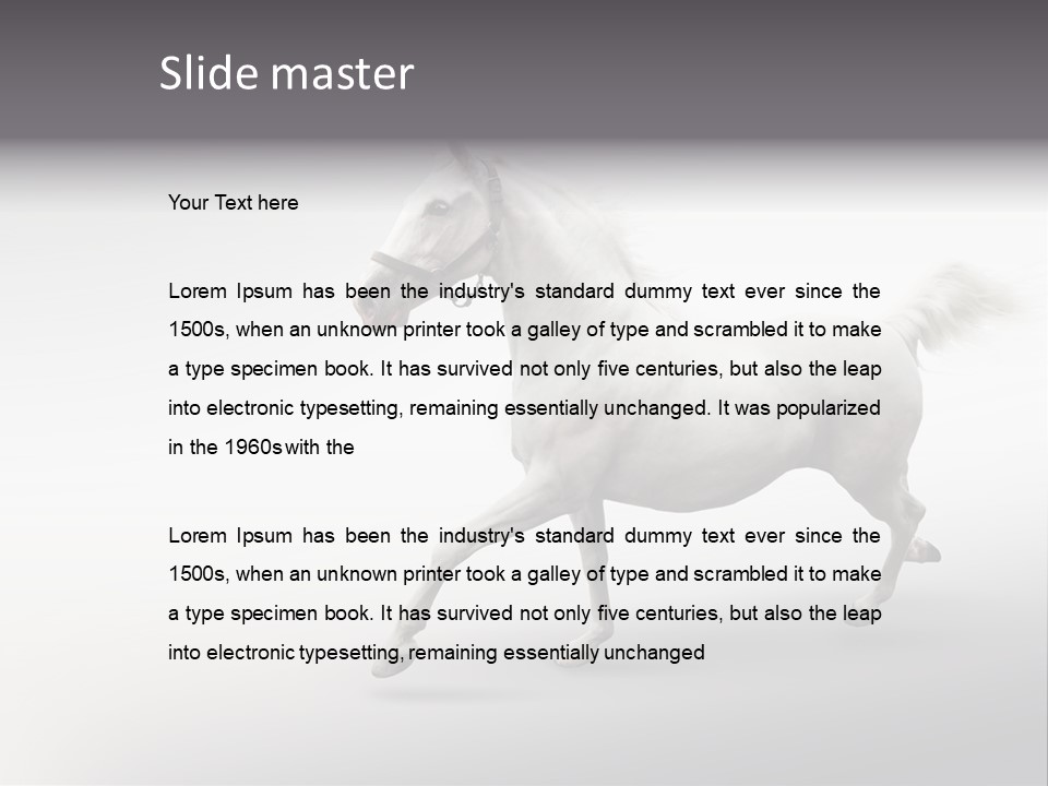 A White Horse Galloping On A Gray Background PowerPoint Template