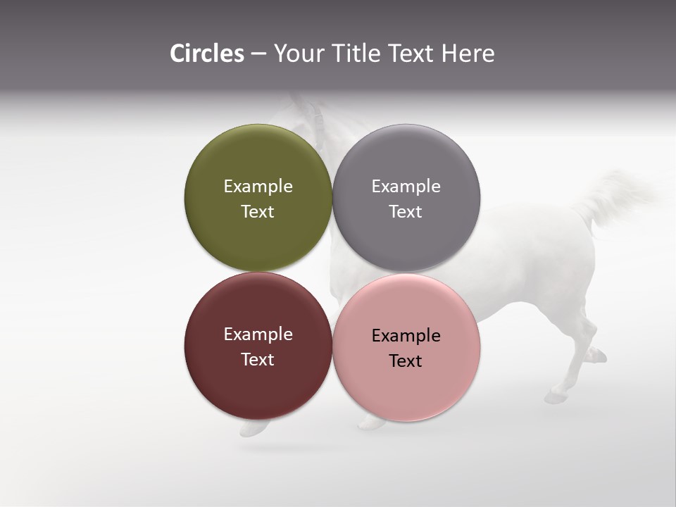 A White Horse Galloping On A Gray Background PowerPoint Template