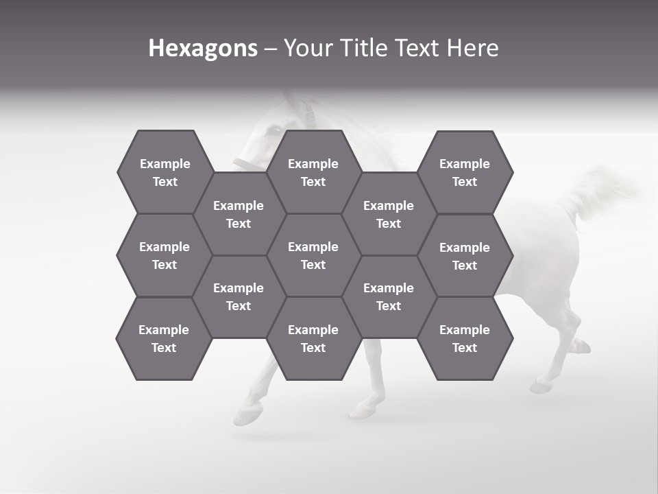 A White Horse Galloping On A Gray Background PowerPoint Template