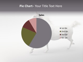 A White Horse Galloping On A Gray Background PowerPoint Template