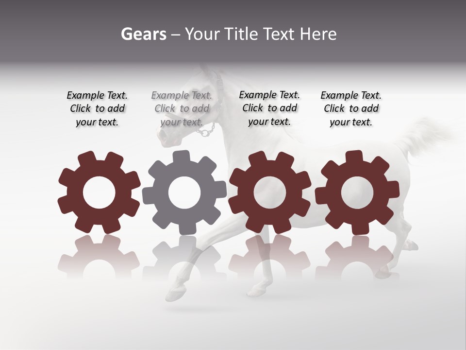 A White Horse Galloping On A Gray Background PowerPoint Template