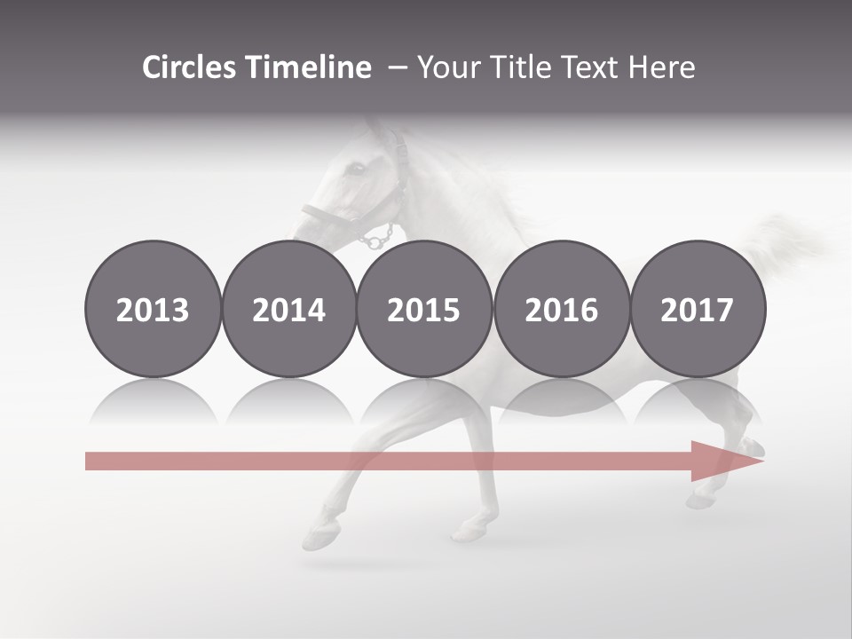 A White Horse Galloping On A Gray Background PowerPoint Template