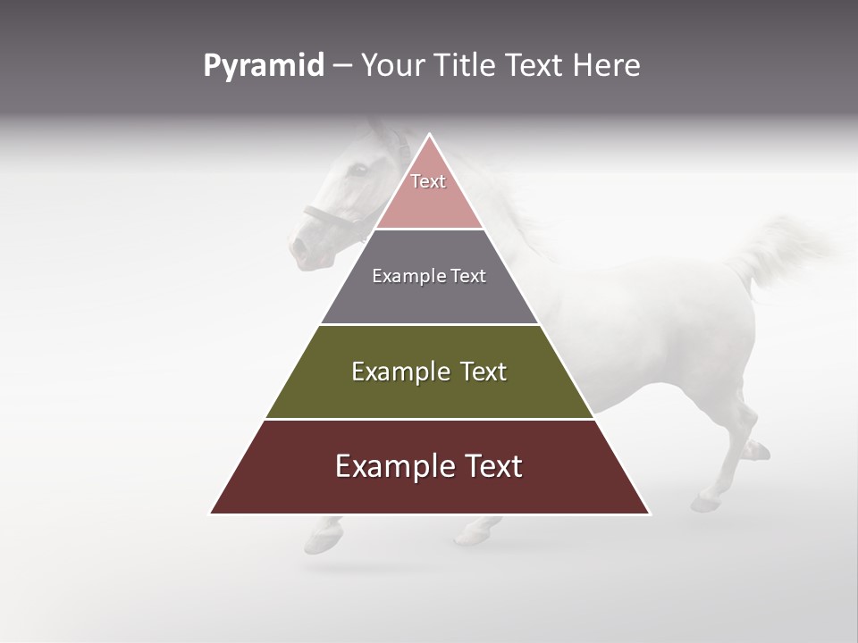 A White Horse Galloping On A Gray Background PowerPoint Template