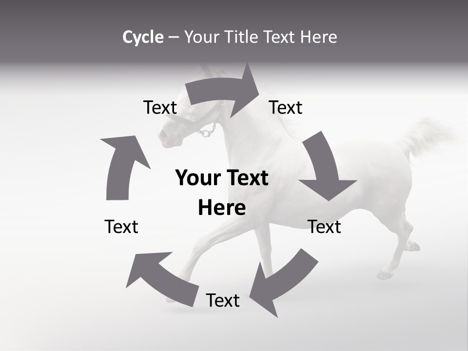 A White Horse Galloping On A Gray Background PowerPoint Template