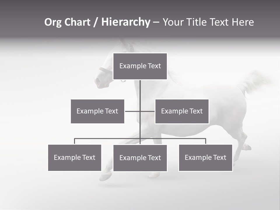 A White Horse Galloping On A Gray Background PowerPoint Template