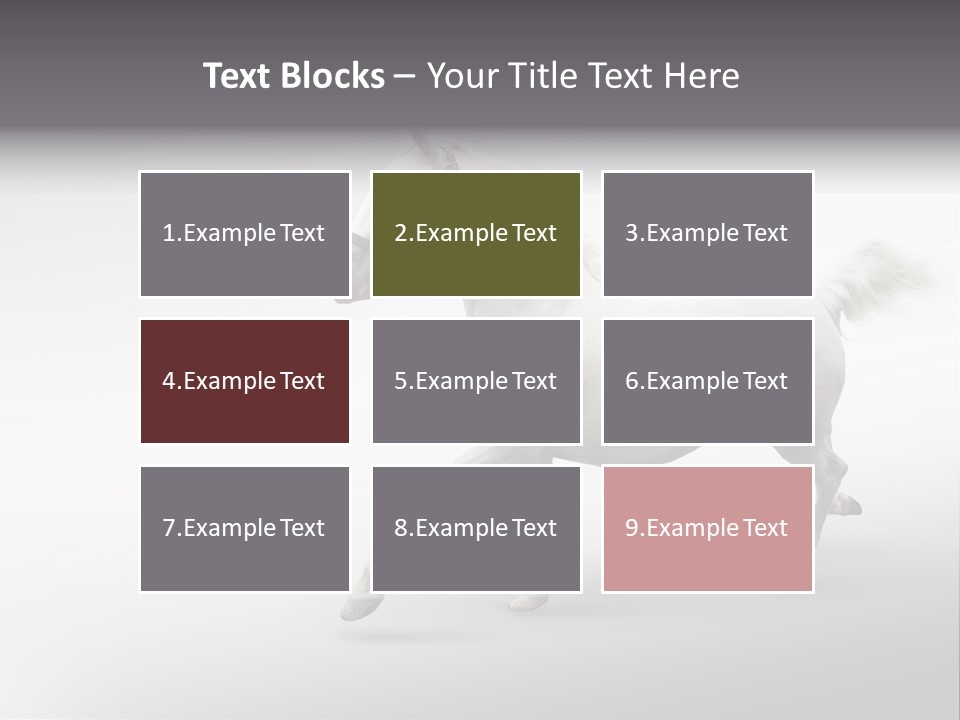 A White Horse Galloping On A Gray Background PowerPoint Template