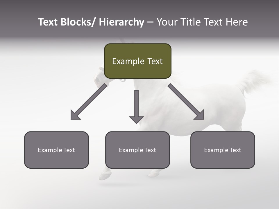 A White Horse Galloping On A Gray Background PowerPoint Template