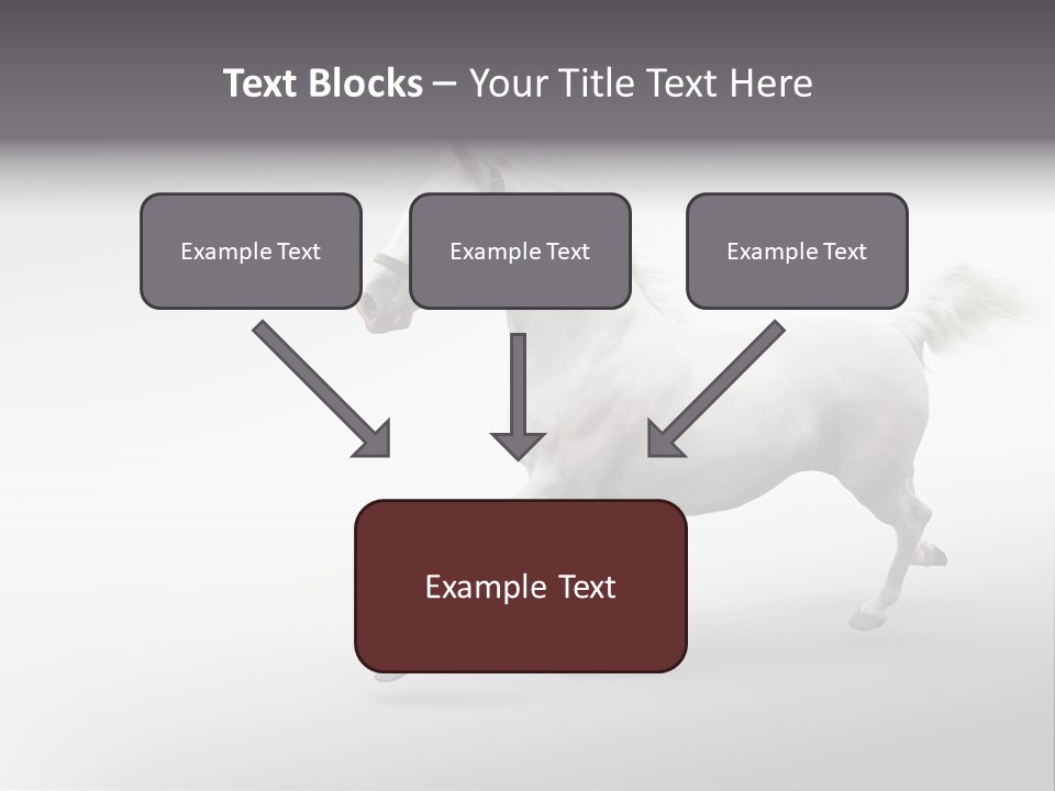 A White Horse Galloping On A Gray Background PowerPoint Template