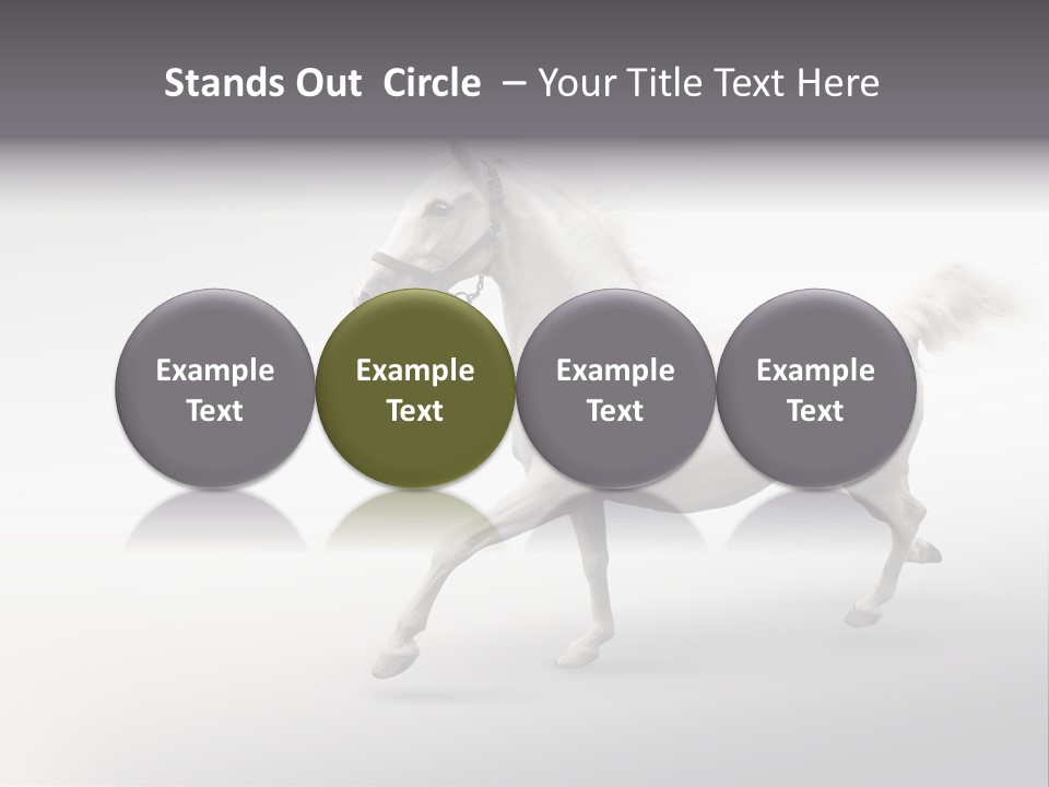 A White Horse Galloping On A Gray Background PowerPoint Template