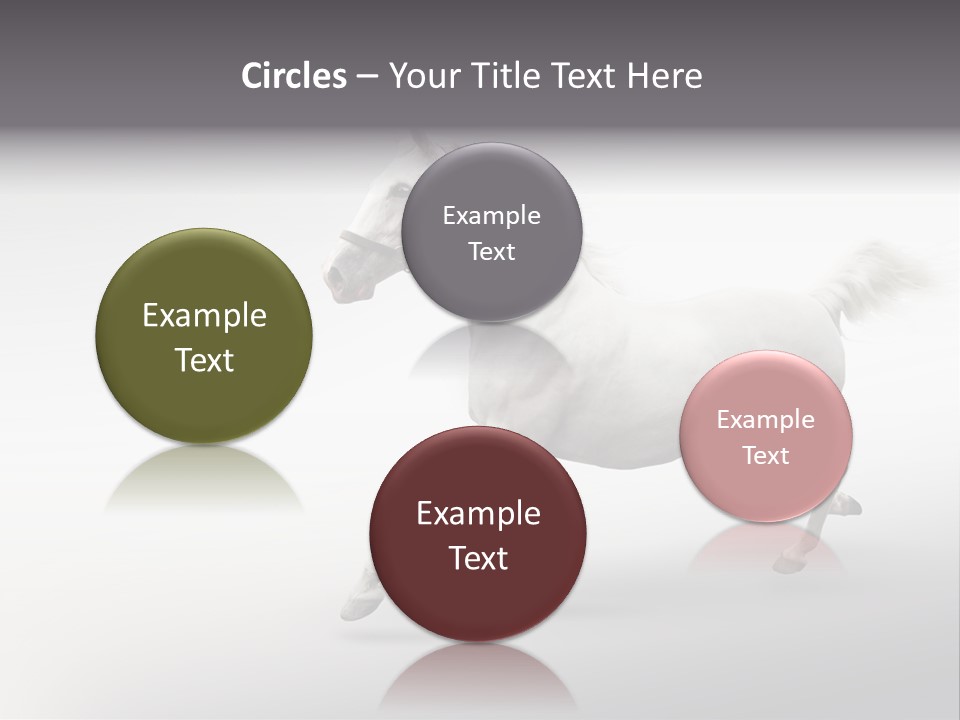 A White Horse Galloping On A Gray Background PowerPoint Template