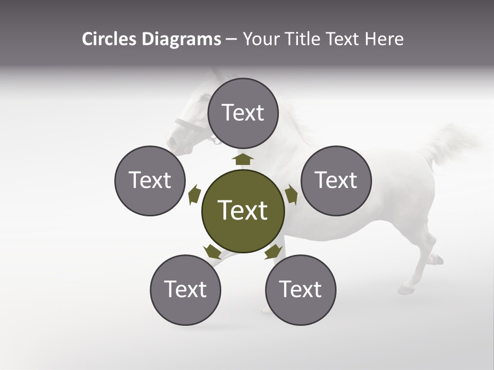 A White Horse Galloping On A Gray Background PowerPoint Template