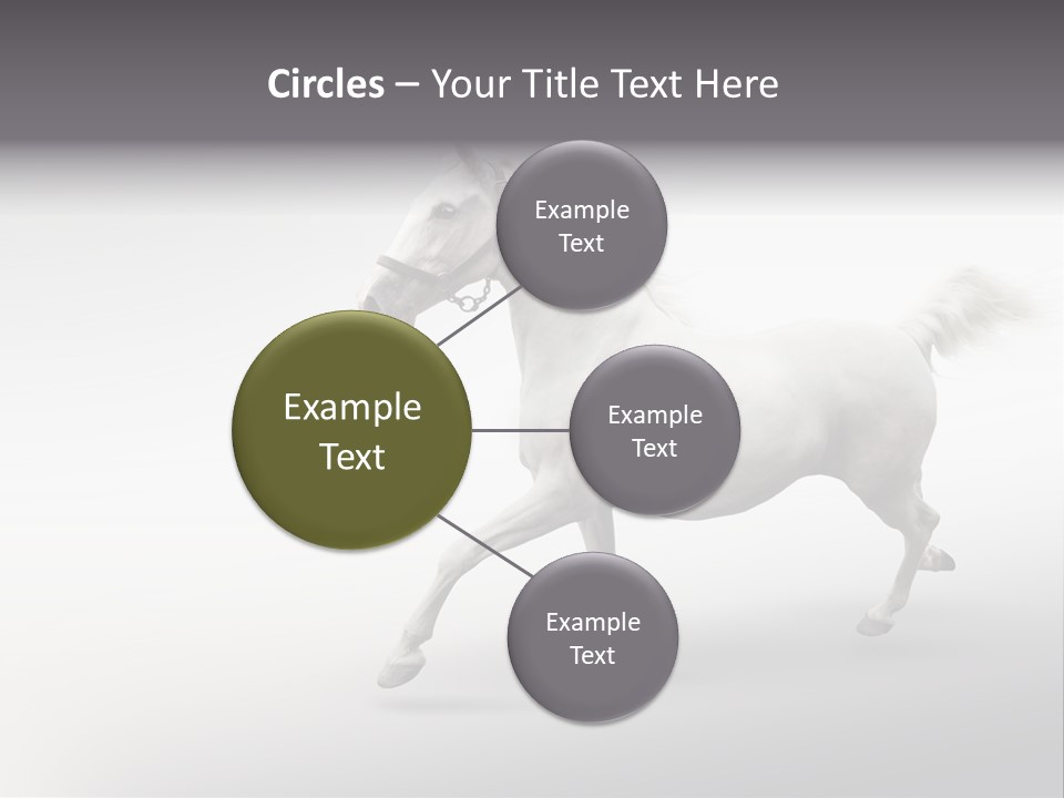 A White Horse Galloping On A Gray Background PowerPoint Template