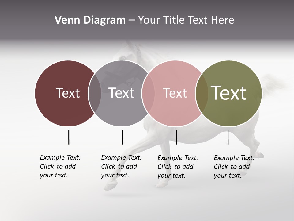 A White Horse Galloping On A Gray Background PowerPoint Template