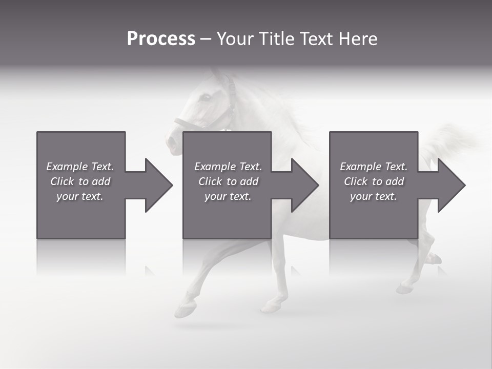 A White Horse Galloping On A Gray Background PowerPoint Template