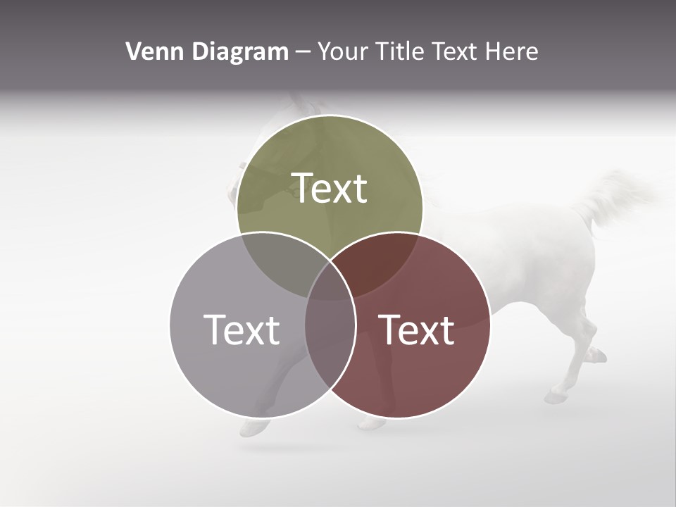 A White Horse Galloping On A Gray Background PowerPoint Template