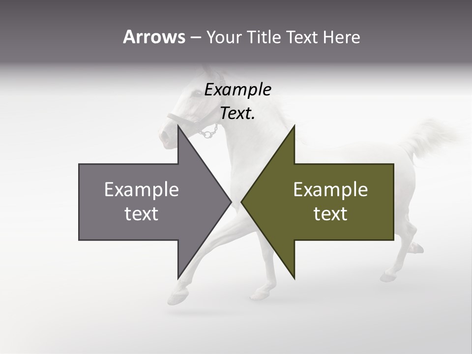 A White Horse Galloping On A Gray Background PowerPoint Template