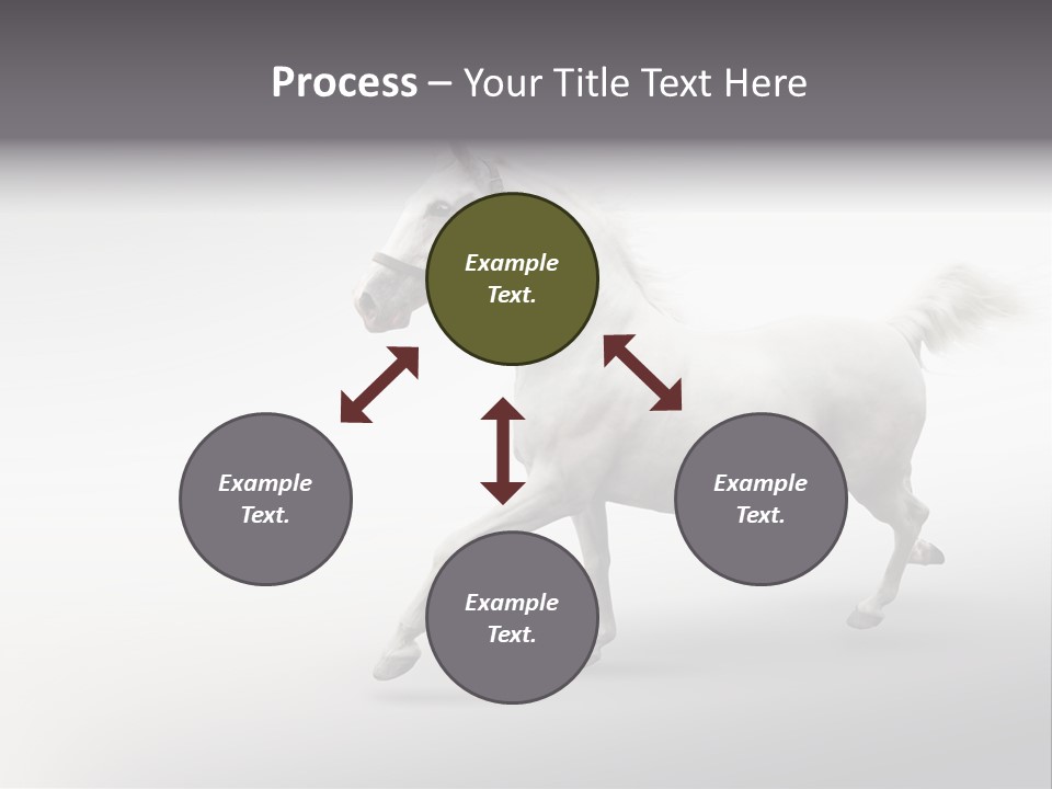 A White Horse Galloping On A Gray Background PowerPoint Template