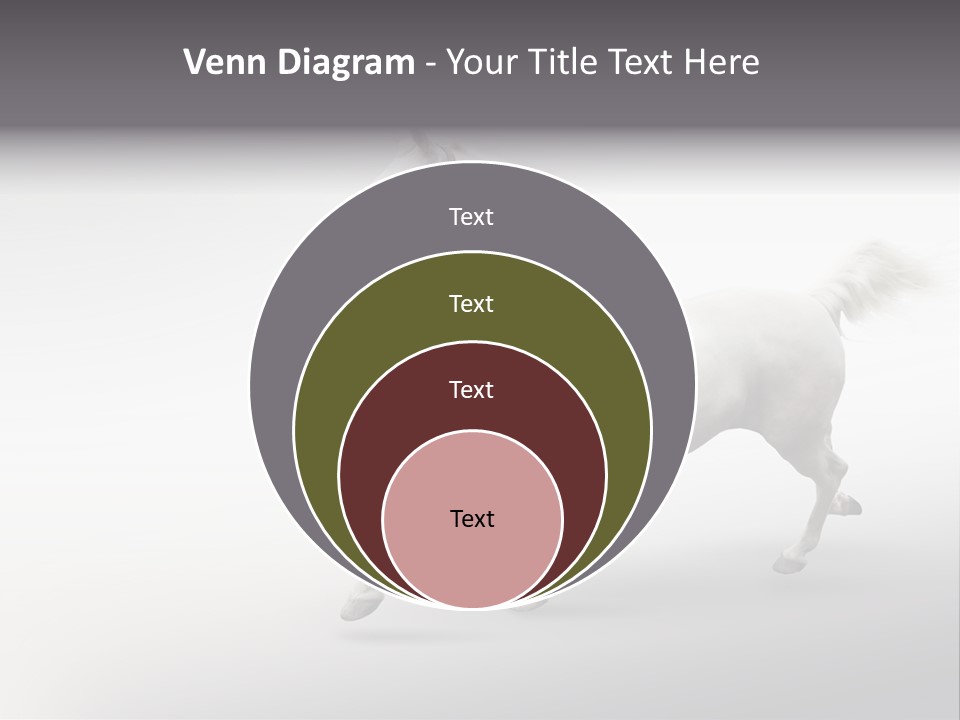 A White Horse Galloping On A Gray Background PowerPoint Template