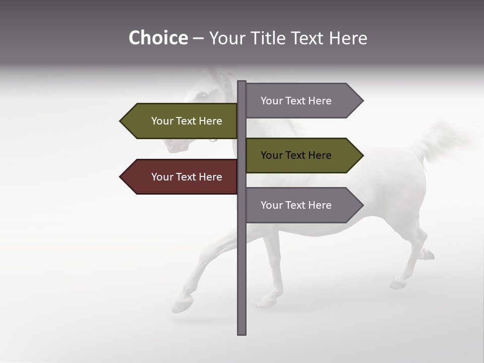 A White Horse Galloping On A Gray Background PowerPoint Template
