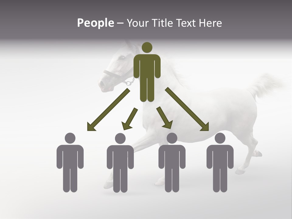 A White Horse Galloping On A Gray Background PowerPoint Template