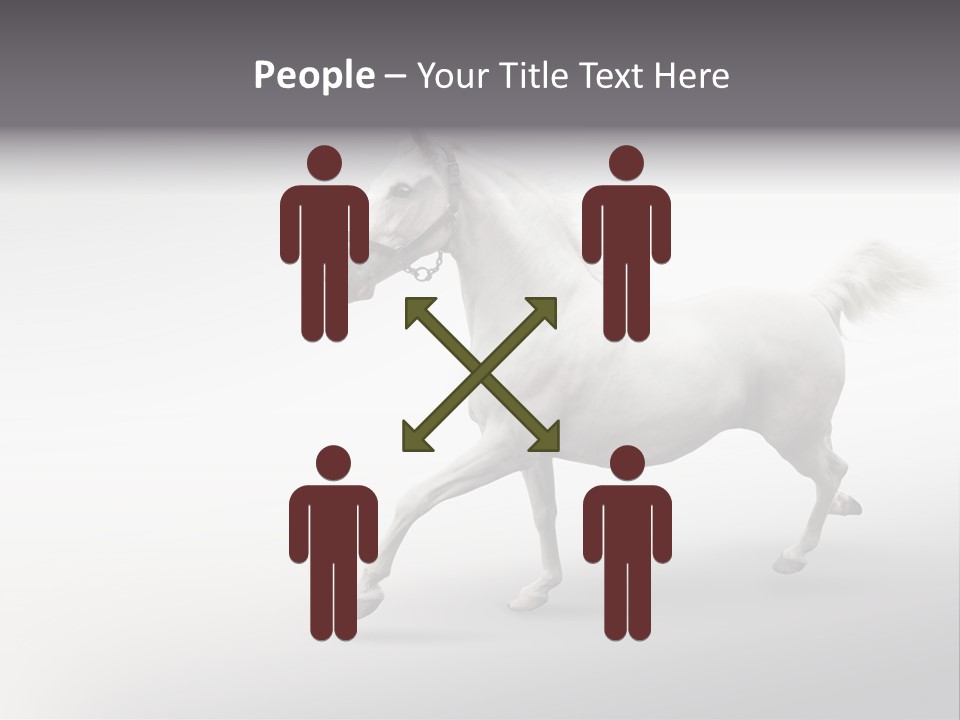 A White Horse Galloping On A Gray Background PowerPoint Template