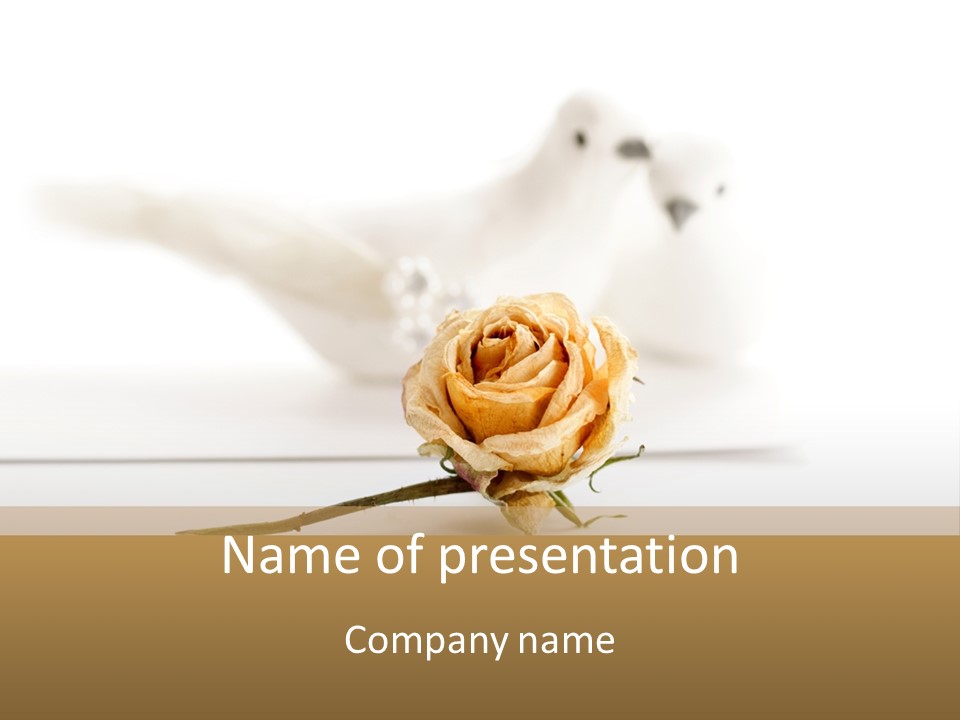 Concept Romantic Design PowerPoint Template