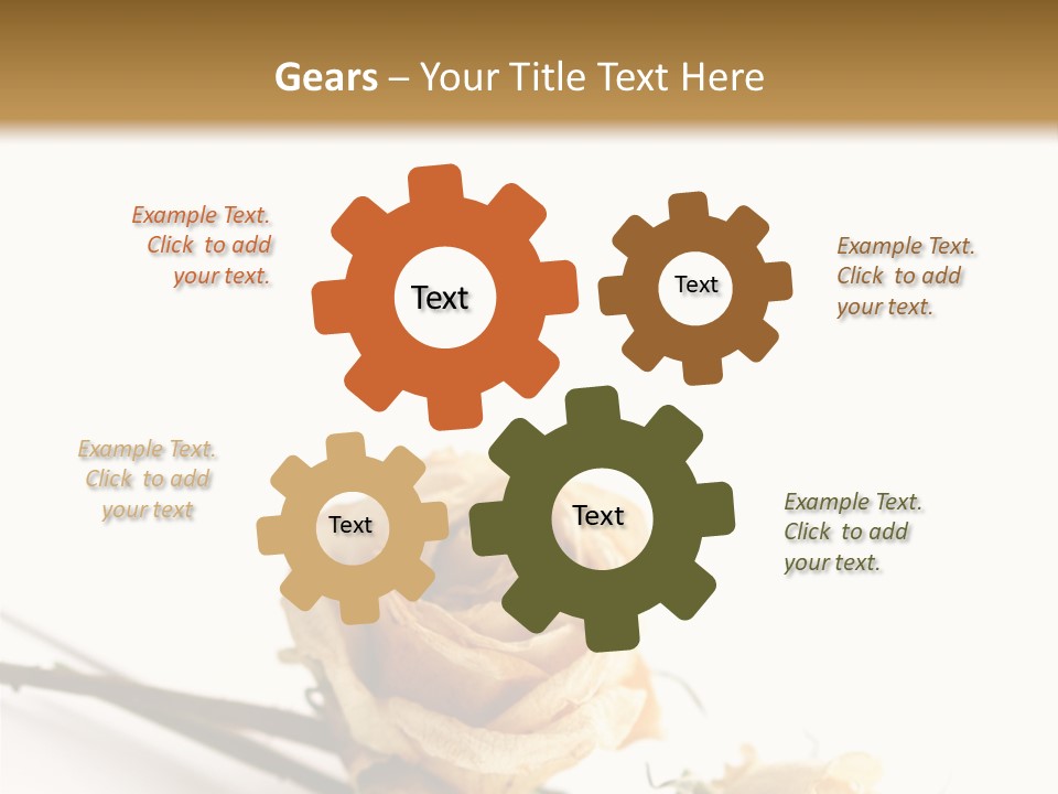 Birthday Decorative Congratulate PowerPoint Template