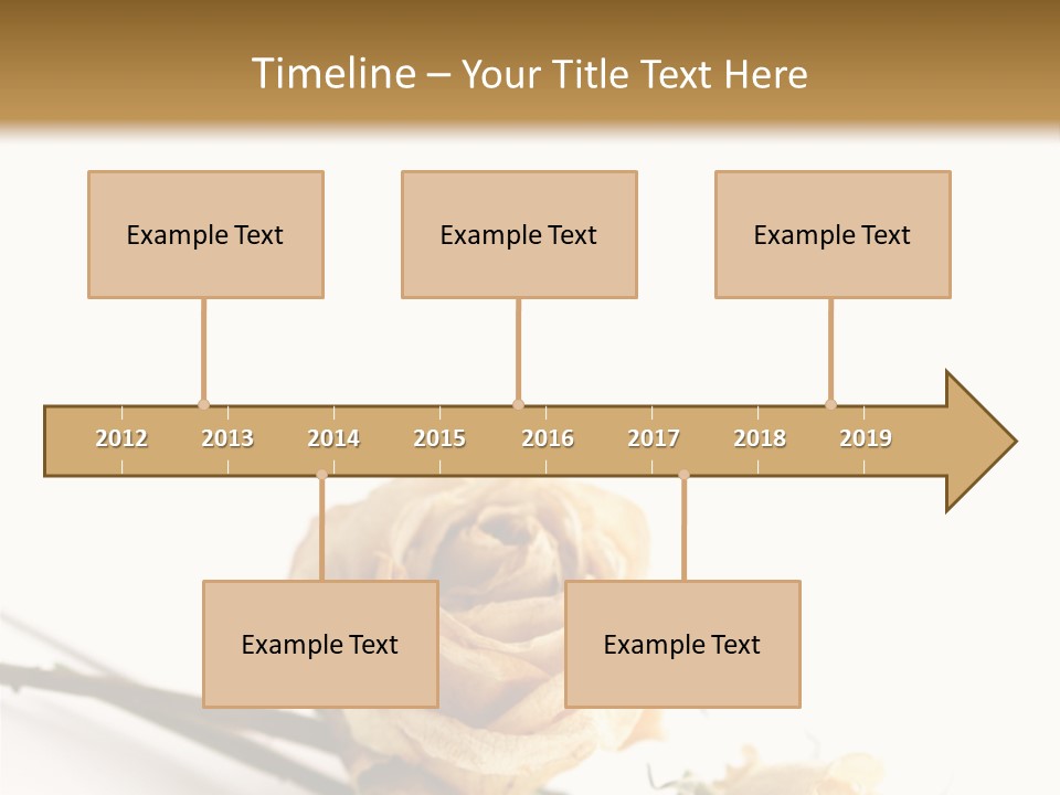 Birthday Decorative Congratulate PowerPoint Template