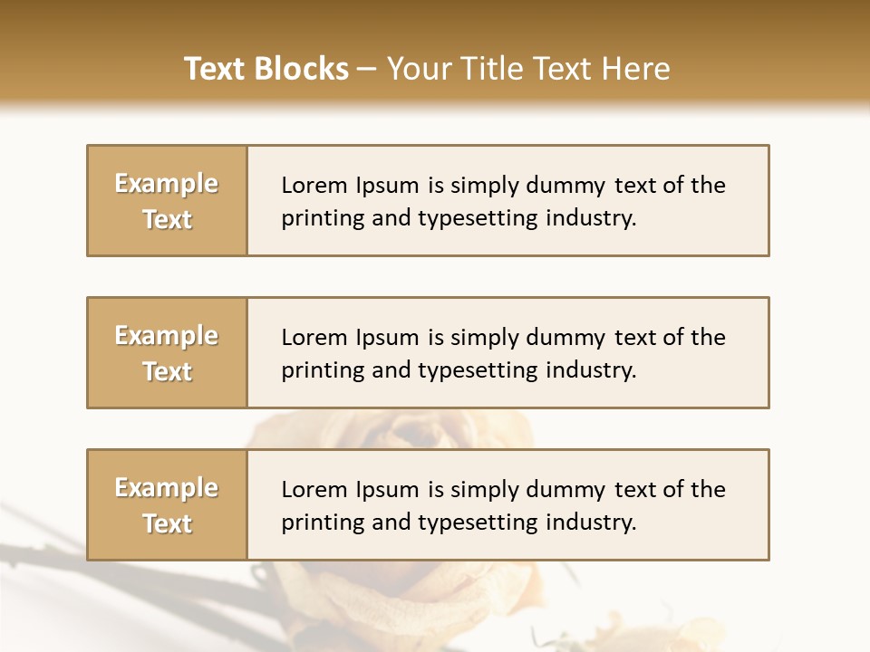 Birthday Decorative Congratulate PowerPoint Template