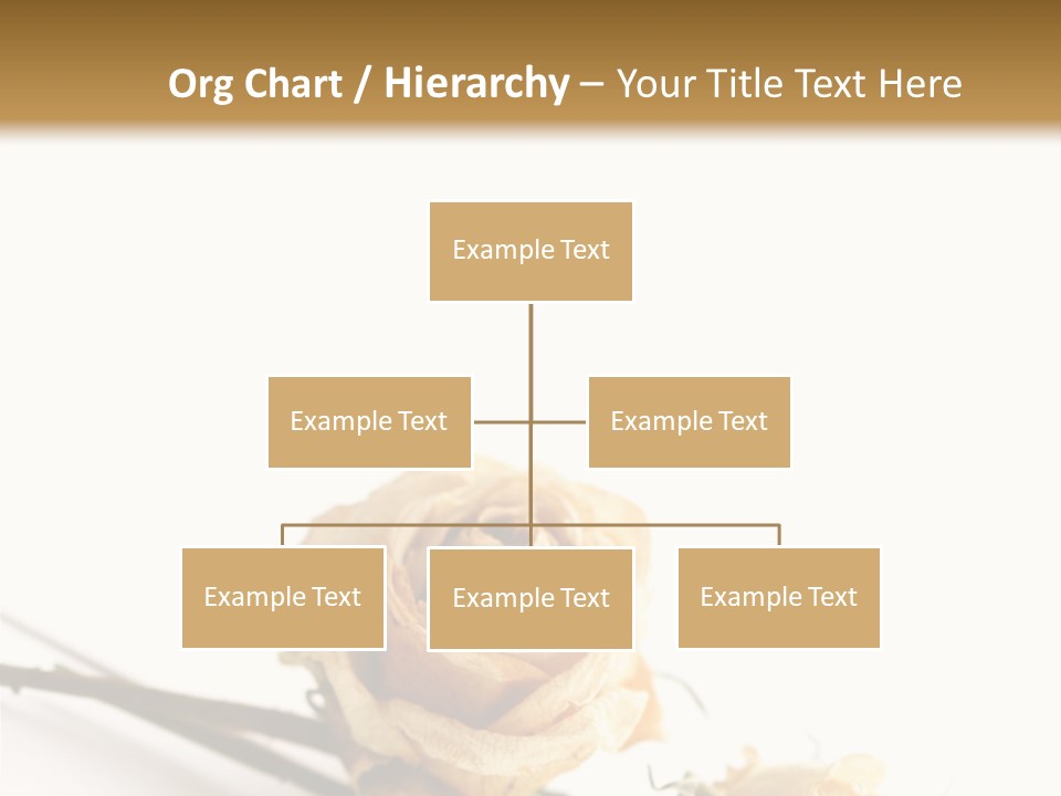 Birthday Decorative Congratulate PowerPoint Template