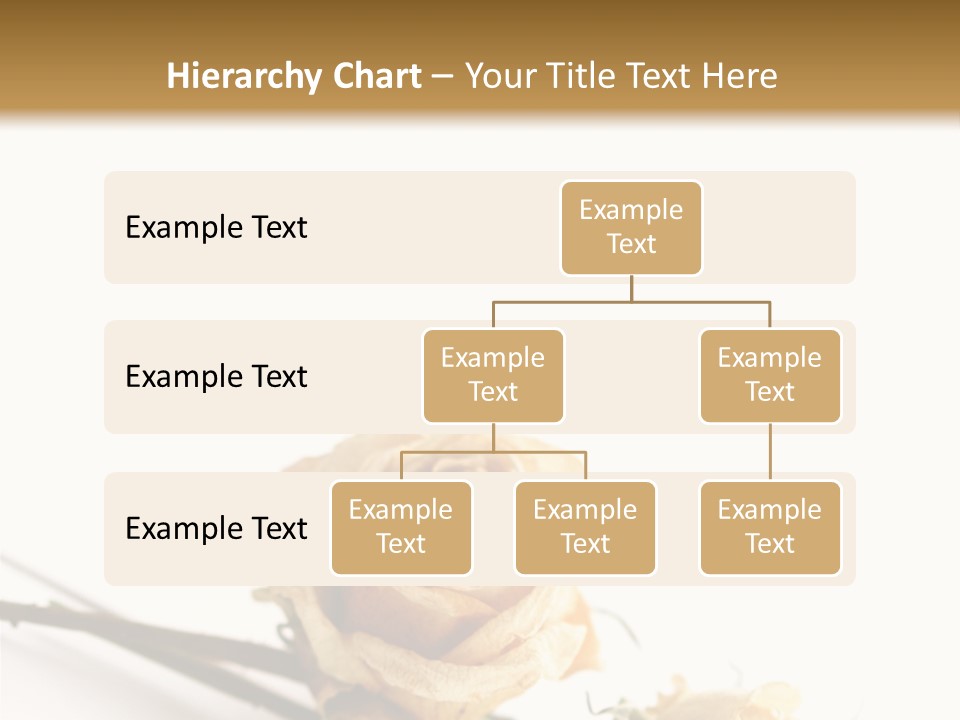 Birthday Decorative Congratulate PowerPoint Template