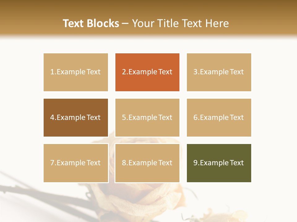 Birthday Decorative Congratulate PowerPoint Template