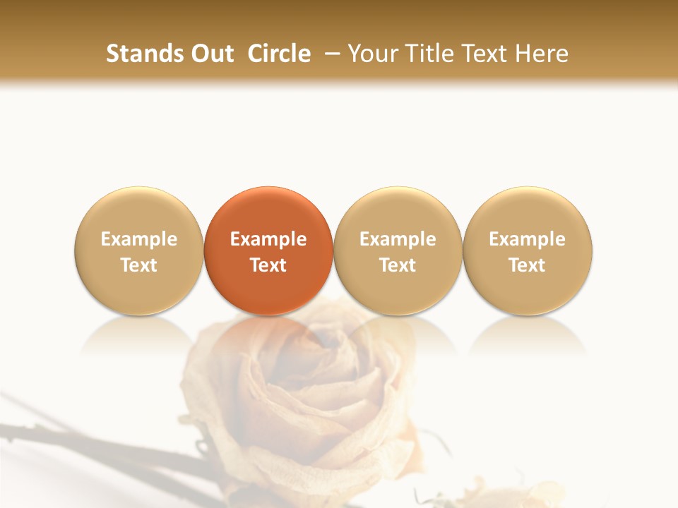 Birthday Decorative Congratulate PowerPoint Template