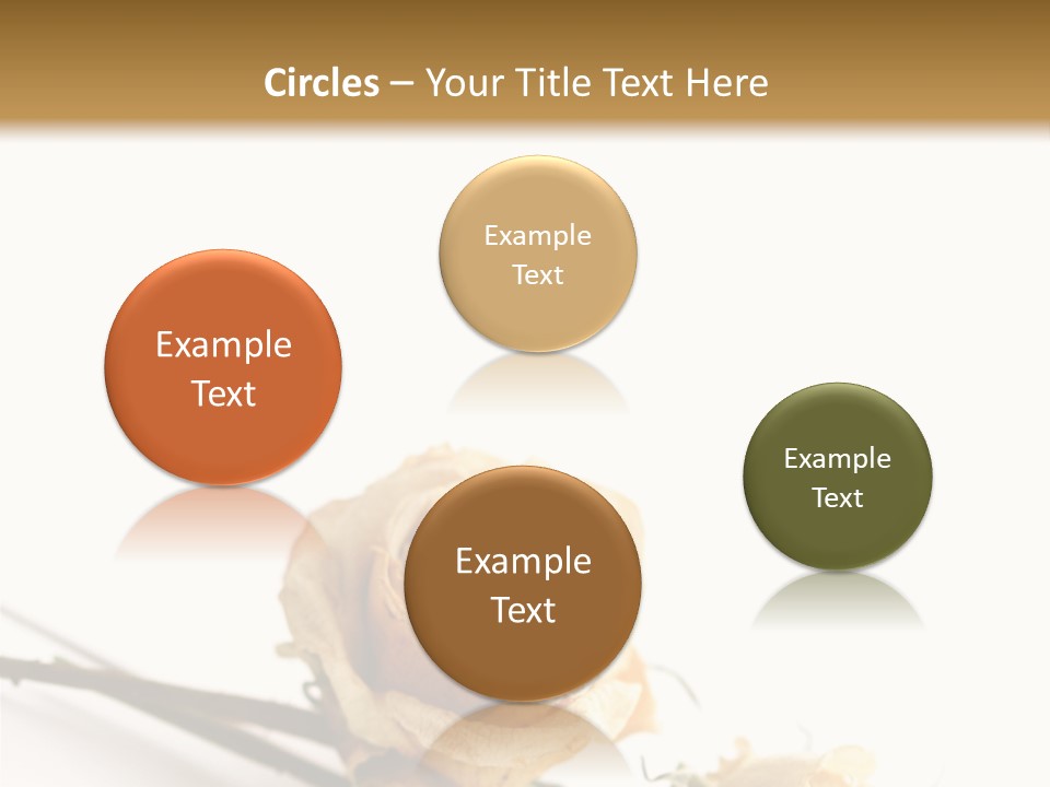 Birthday Decorative Congratulate PowerPoint Template