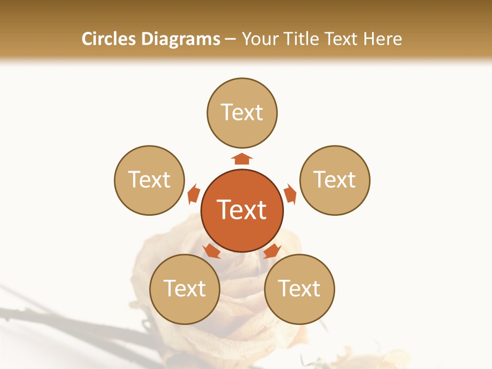 Birthday Decorative Congratulate PowerPoint Template