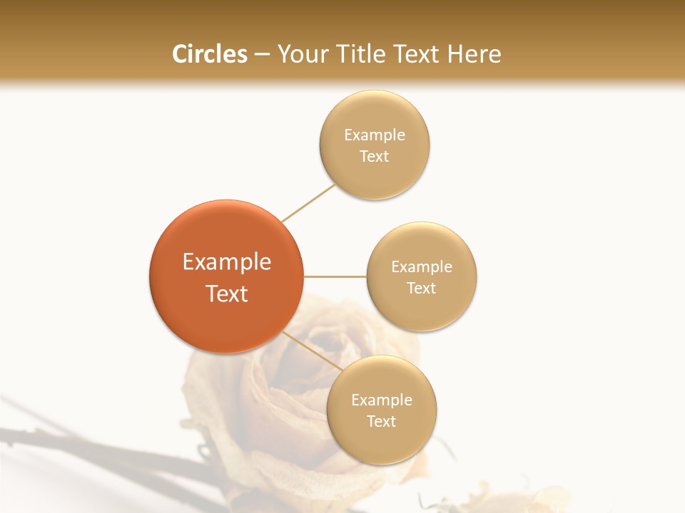 Birthday Decorative Congratulate PowerPoint Template