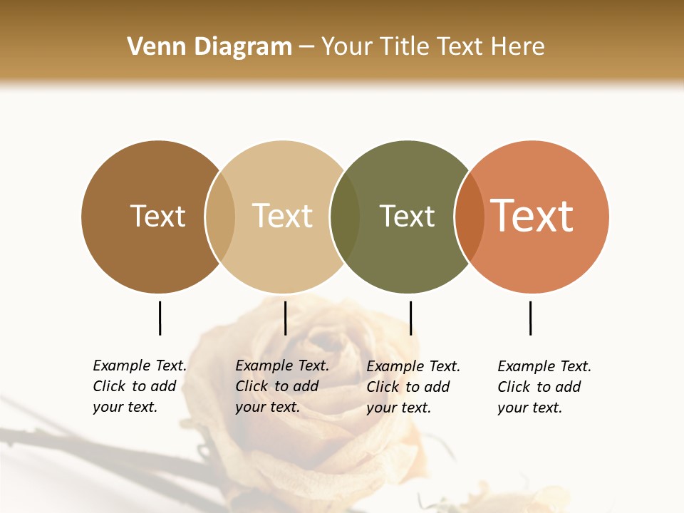 Birthday Decorative Congratulate PowerPoint Template