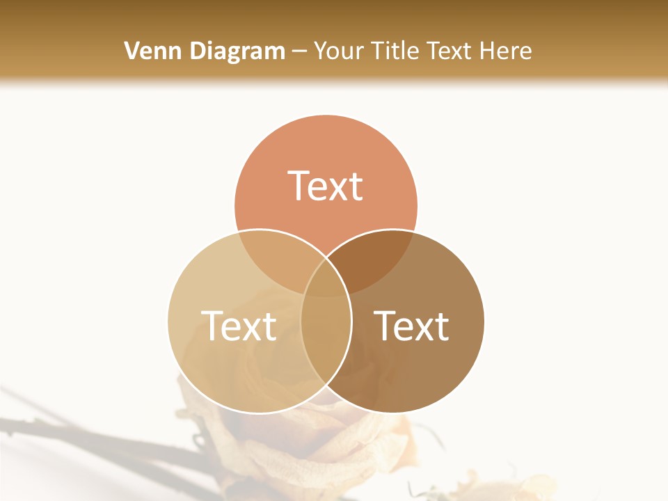 Birthday Decorative Congratulate PowerPoint Template