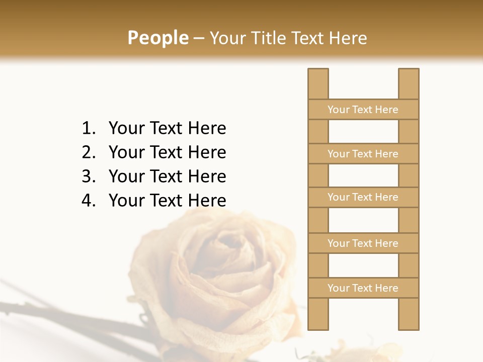 Birthday Decorative Congratulate PowerPoint Template