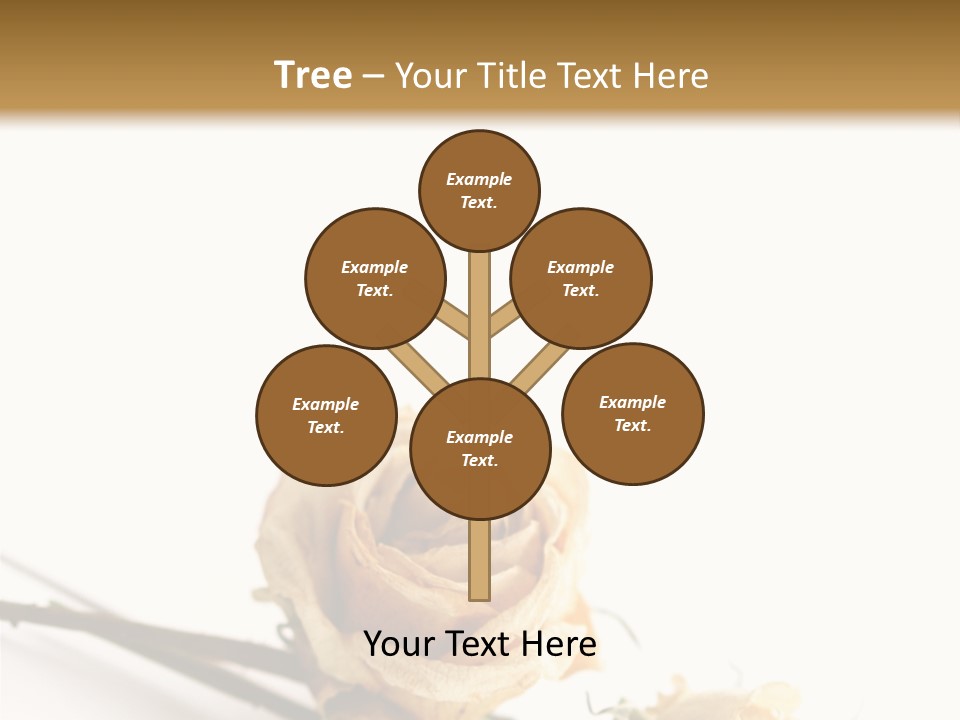 Birthday Decorative Congratulate PowerPoint Template