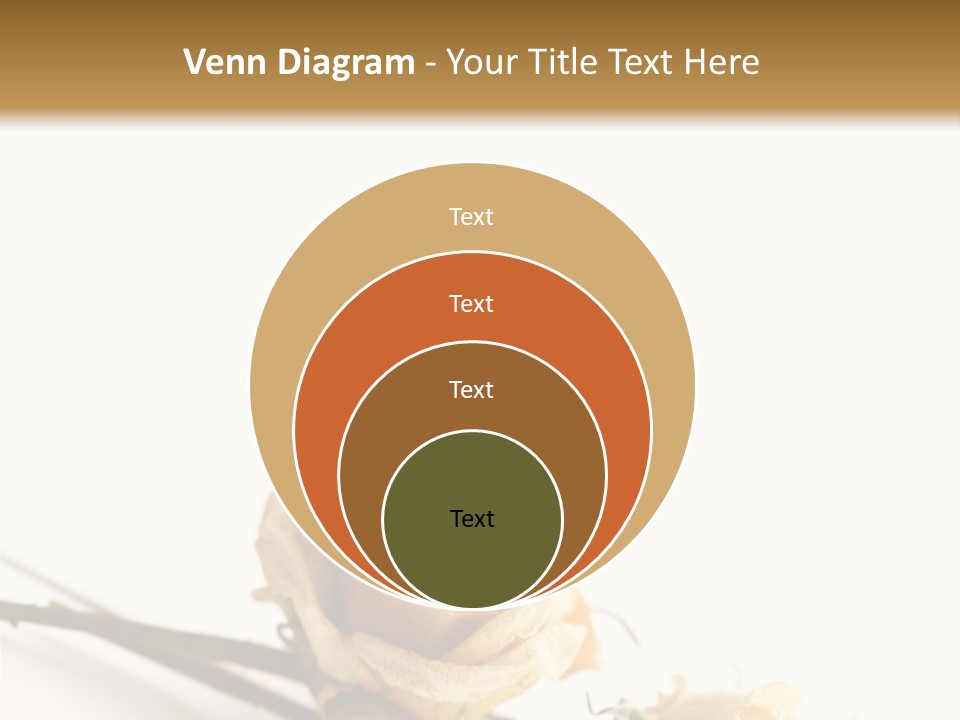 Birthday Decorative Congratulate PowerPoint Template