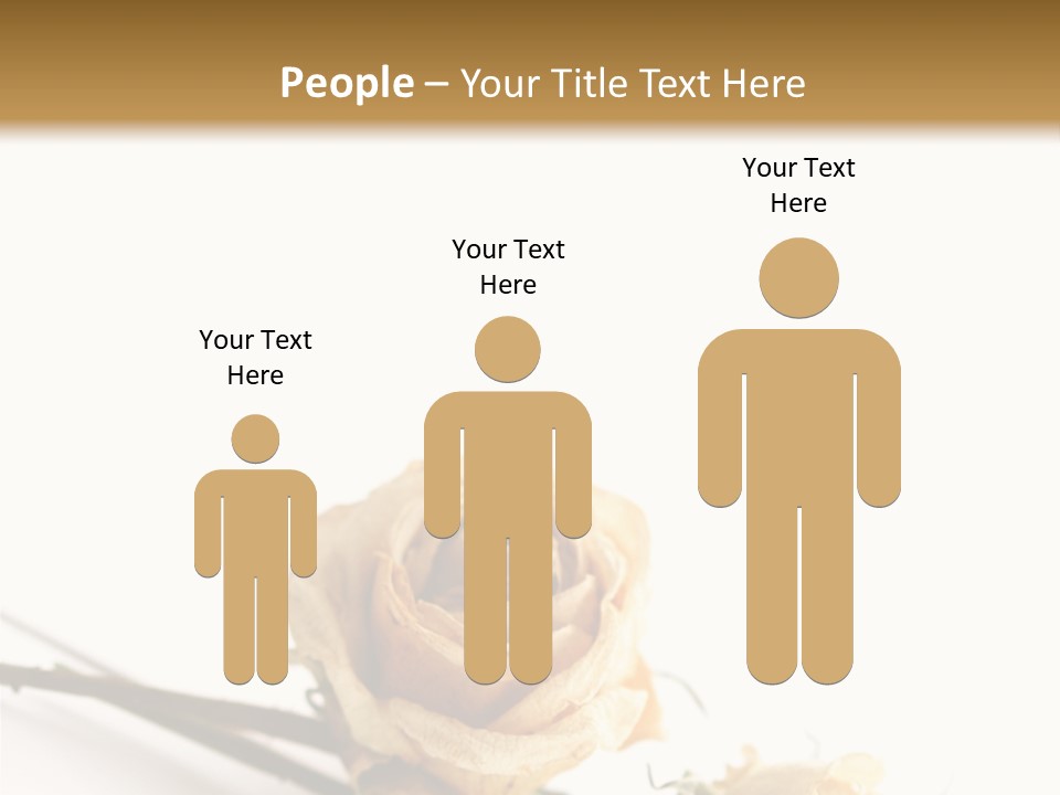 Birthday Decorative Congratulate PowerPoint Template